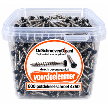 RVS gevelschroef zwarte kop AISI 410 torx 4x50 voordeelemmer 600x