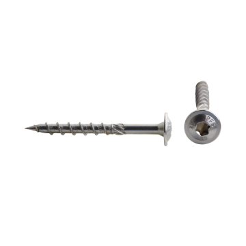 Tellerkopschroef RVS A2 torx 6x60